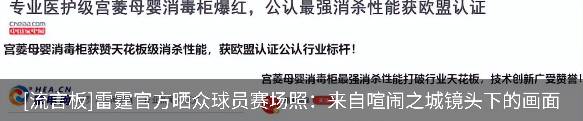 最新动态